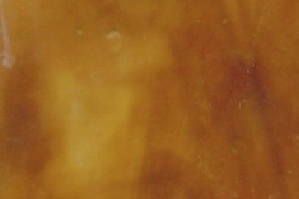 Gecko