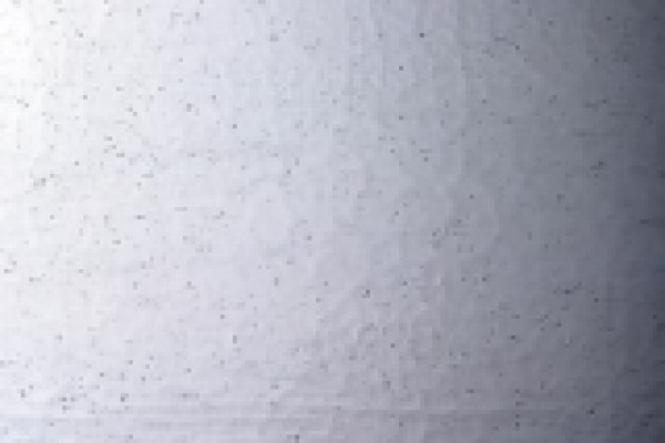 Gecko
