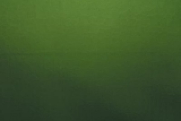 Gecko