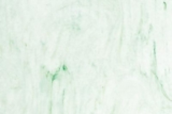 Gecko